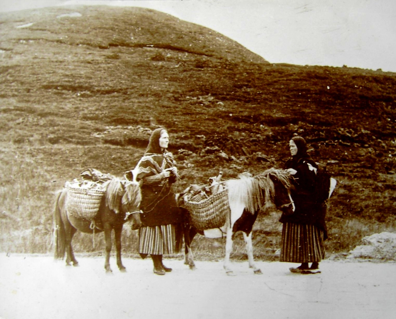 Illustration for article titled Shetland Ponies Are the Future